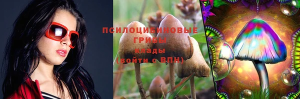 a pvp Арсеньев