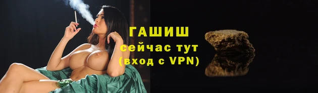 стаф Армянск