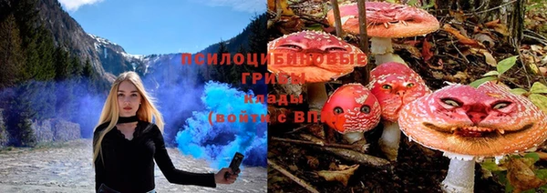 стаф Армянск
